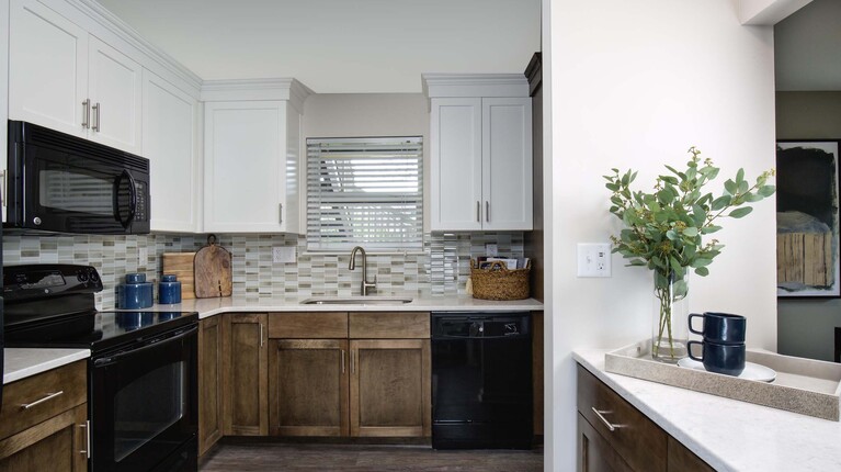 Modern Kitchen with Quartz Countertops and Custom Cabinetry