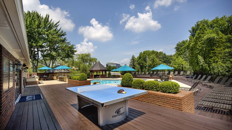 Poolside Ping Pong Table