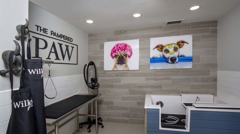 The Pampered Paw Pet Spa